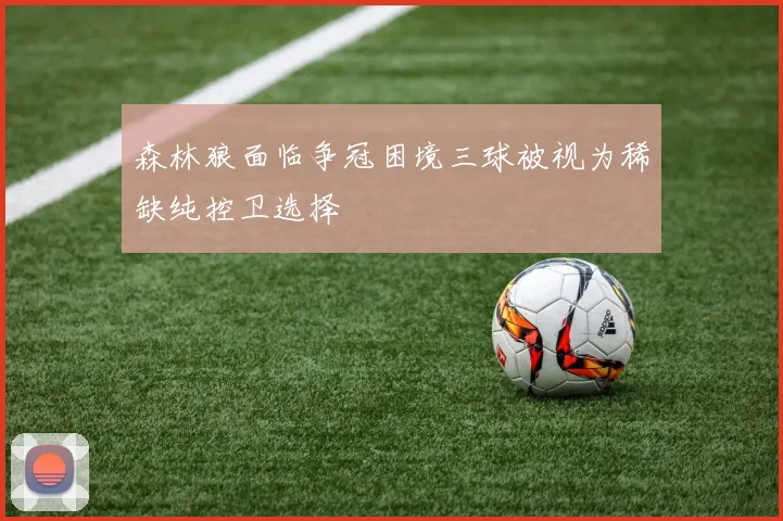 森林狼面临争冠困境三球被视为稀缺纯控卫选择