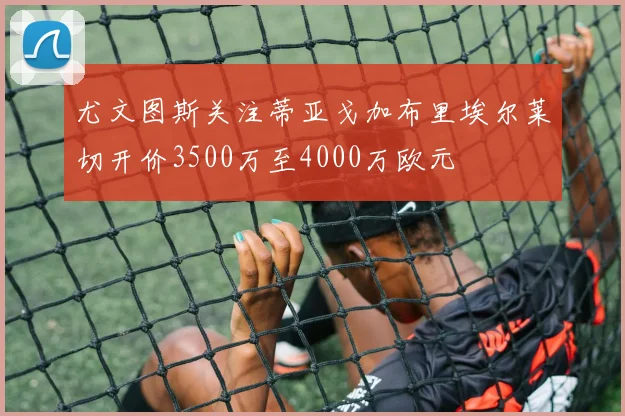尤文图斯关注蒂亚戈加布里埃尔莱切开价3500万至4000万欧元