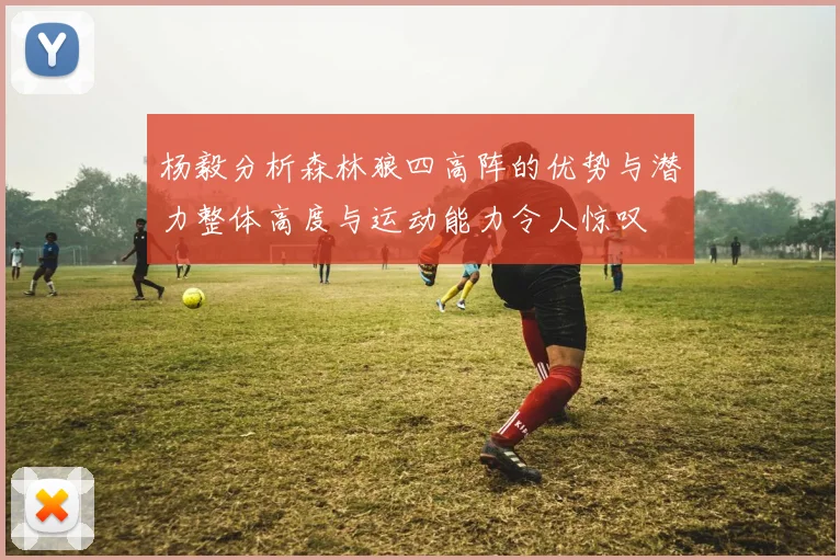 杨毅分析森林狼四高阵的优势与潜力整体高度与运动能力令人惊叹