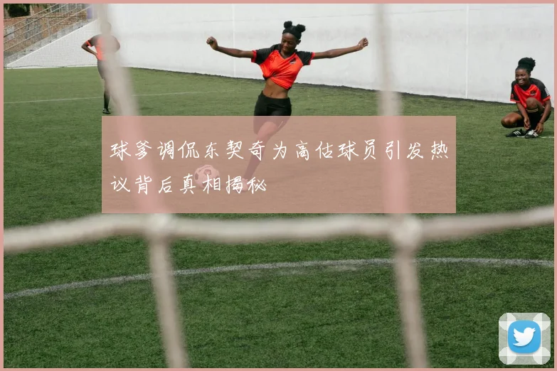 球爹调侃东契奇为高估球员引发热议背后真相揭秘